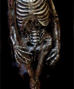 Midnight Studios Props "Ancient Egyptian Mummy" Professional Halloween Prop