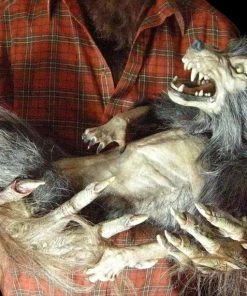 The Horror Dome "Baby Werewolf Puppet" HD Studios Halloween Prop Accessories