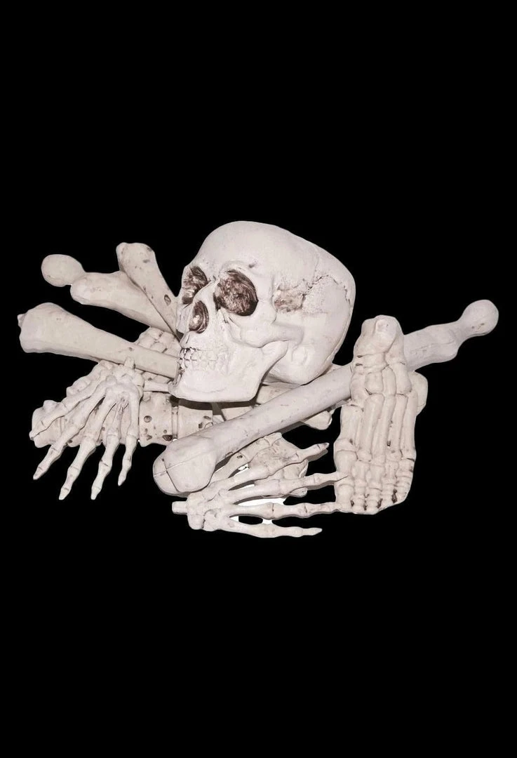 Morris "Bag Of Bones" Halloween Prop 1 Morris "Bag Of Bones" Halloween Prop