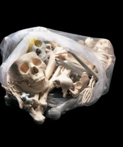 Skeletons And More "Bag Of Bones - Large" Halloween Prop Graveyard Props