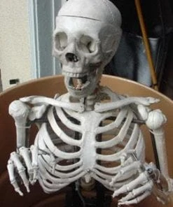 DC Props "Barrel Spitter Skeleton" Halloween Animatronic Animatronics