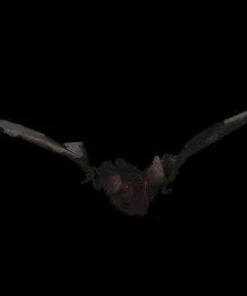 Morris "Bat With Light-up Eyes" Hanging Halloween Prop - 54 Inches Props
