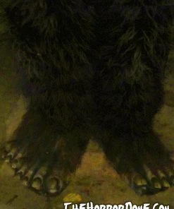 The Horror Dome Costumes "Bigfoot" HD Studios Pro Costume 6 The Horror Dome Costumes