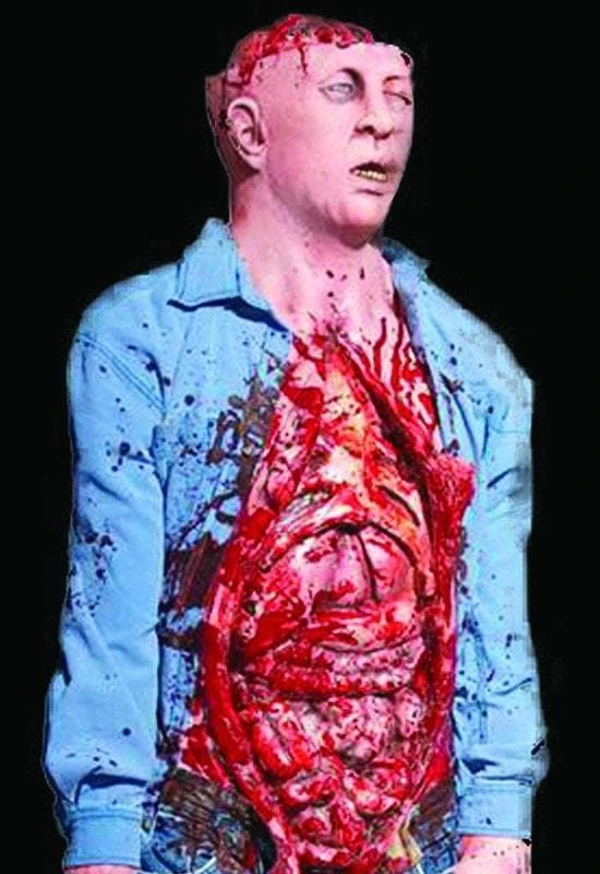 Distortions "Bowel Movement" Electric Animated Bloody Halloween Prop Props 1 Distortions "Bowel Movement" Electric Animated Bloody Halloween Prop Props