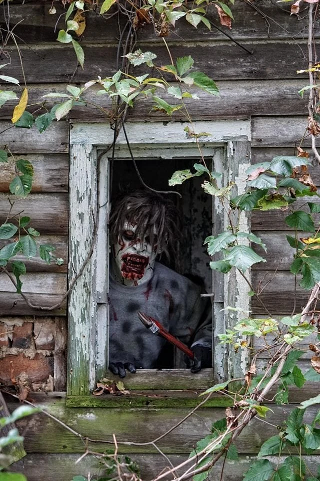 The Horror Dome "Cellar Dweller" HD Studios Pro Mask Masks 4 The Horror Dome "Cellar Dweller" HD Studios Pro Mask Masks