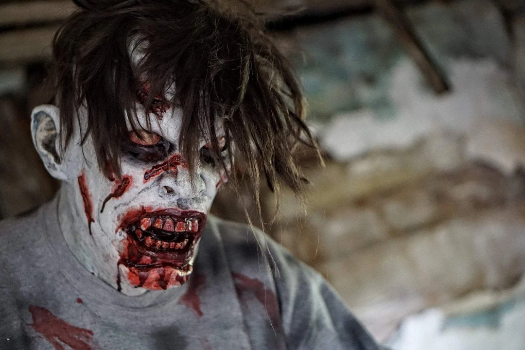 The Horror Dome "Cellar Dweller" HD Studios Pro Mask Masks 6 The Horror Dome "Cellar Dweller" HD Studios Pro Mask Masks