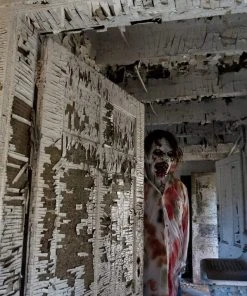 The Horror Dome "Cellar Dweller" HD Studios Pro Mask Masks 13 The Horror Dome