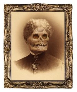 Morris "Changing Portrait - Aunt Hazel" Halloween Decoration