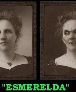 Morris "Changing Portrait - Esmerelda" Hanging Halloween Decoration Props