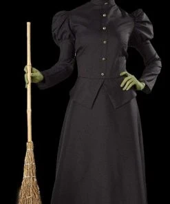 Morris Costumes "Classic Witch" Deluxe Costume
