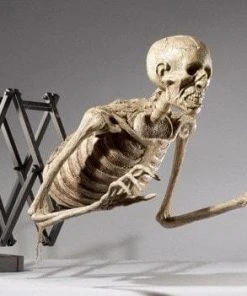 DC Props "Corpse Extender" Skeleton Halloween Animatronic