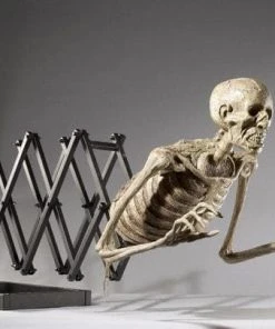 DC Props "Corpse Extender" Skeleton Halloween Animatronic