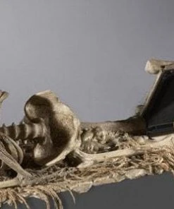 DC Props "Corpse Reacher/Trap Door Popper Combo" Skeleton Halloween Animatronic