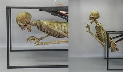 DC Props "Crypt Dweller" Skeleton Halloween Animatronic Animatronics 2 DC Props "Crypt Dweller" Skeleton Halloween Animatronic Animatronics