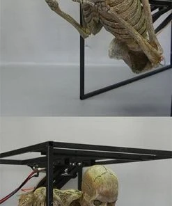 DC Props "Crypt Dweller" Skeleton Halloween Animatronic Animatronics