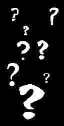 Characters Unlimited "Custom Character" Animatronic Fortune Teller Machine