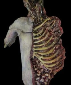 Midnight Studios "Dismembered Carcass" Human Body Skeleton Halloween Prop Props