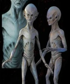 Midnight Studios "EBE Extraterrestrial Biological Entity" Professional Alien Prop Props