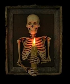 Skeletons And More Realistic Props "Framed 3D Skeleton Torso Holding Candle" Hanging Haunted House Decoration