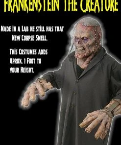 The Horror Dome Costumes "Frankenstein The Creature" HD Studios Costume 9 The Horror Dome Costumes