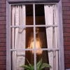 Distortions Animatronics "Ghostly Window" Haunted House Animatronic