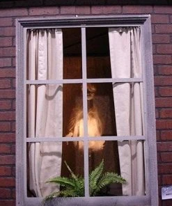 Distortions Animatronics "Ghostly Window" Haunted House Animatronic