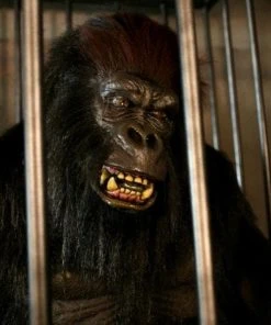 The Horror Dome Animatronics "Gorilla In A Cage" Professional Halloween Animatronic