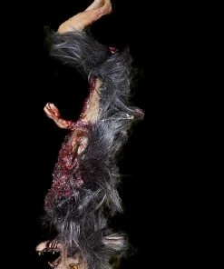 The Horror Dome Gutted Baby Werewolf Hanging Prop Props