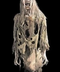The Horror Dome Animatronics "Hag Zombiette" Electric Zombie Halloween Animatronic