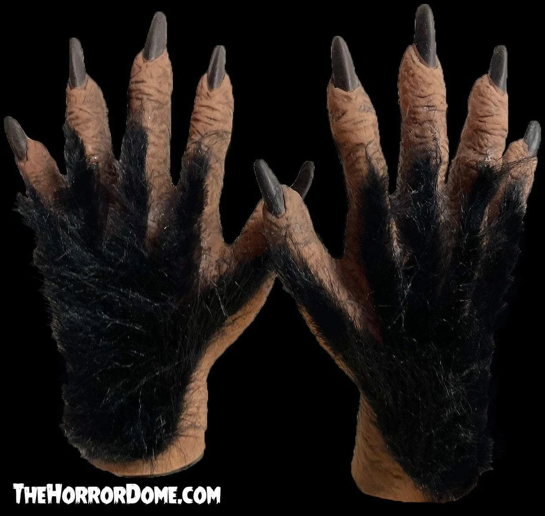 The Horror Dome Monster Hands With Black Hair - HD Studios 1 The Horror Dome Monster Hands With Black Hair - HD Studios