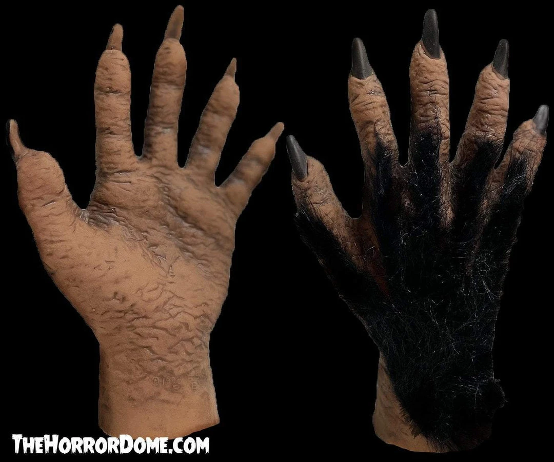 The Horror Dome Monster Hands With Black Hair - HD Studios 2 The Horror Dome Monster Hands With Black Hair - HD Studios