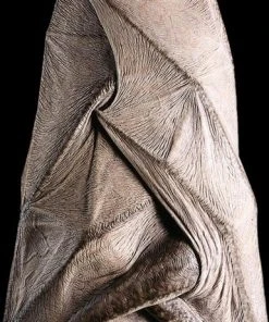 Distortions "Hanging Vampire" Monster Halloween Prop