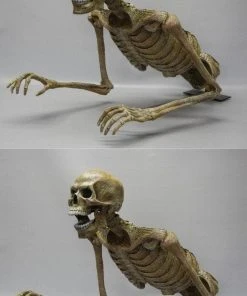 DC Props "Jaw Drop Peeper" Skeleton Halloween Animatronic