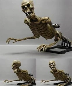 DC Props Animatronics "Lunging Peeper" Skeleton Halloween Animatronic