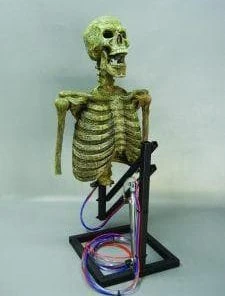 DC Props Animatronics "Mini Popper" Skeleton Halloween Animatronic