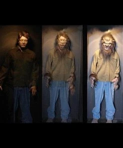 Distortions "Monster Morph" Halloween Illusion Prop Props