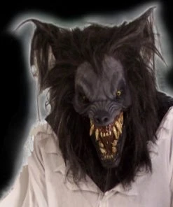 The Horror Dome Costumes "Night Rage" HD Studios Costume