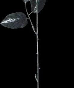 Morris "One Dozen Black Roses With Eyes" Halloween Accessory Prop Accessories