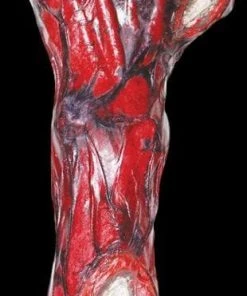 Morris Props "Peeled Flesh - Left Arm" Human Body Part Halloween Prop
