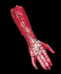 Morris Props "Peeled Flesh - Right Arm" Human Body Part Halloween Prop