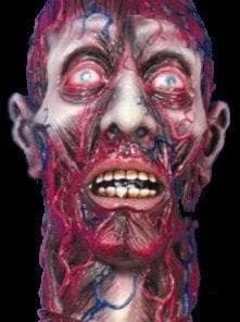 Morris "Peeled Flesh" Severed Head Halloween Prop Props