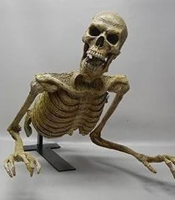 DC Props "Peeper" Skeleton Halloween Animatronic