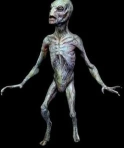 Midnight Studios "Reptilian Alien" Professional Halloween Prop - 3 Foot Props