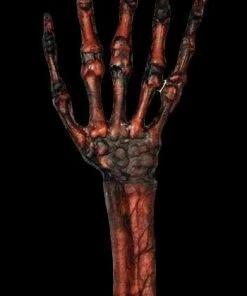 Morris "Rotted Hand - Flesh And Bone" Human Body Part Halloween Prop Props