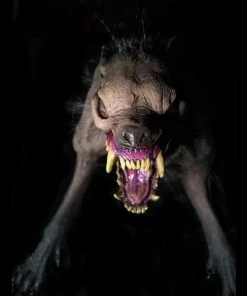 Distortions "Rotten Rover The Zombie Dog" Static Halloween Prop