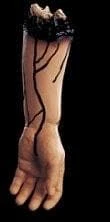 Morris "Severed Left Arm" Bloody Human Body Part Prop Props