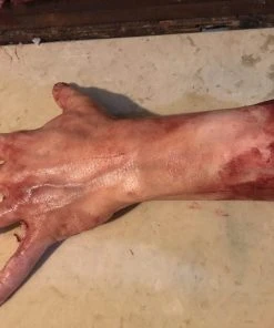 SpellBound FX And Art "Severed Left Male Hand - Silicone" Human Body Part Halloween Prop Props