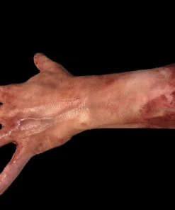 SpellBound FX And Art "Severed Left Male Hand - Silicone" Human Body Part Halloween Prop Props
