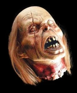 The Horror Dome "Severed Zombie Head" HD Studios Halloween Prop