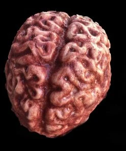 SpellBound FX And Art "Silicone Brain" Body Part Halloween Prop
